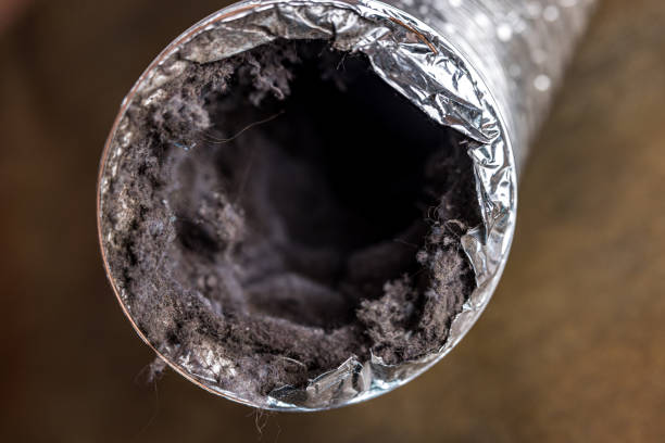 Best HVAC Duct Inspection Services  in Smoke Rise, AL