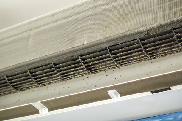 Best Ductwork Cleaning Services  in Smoke Rise, AL